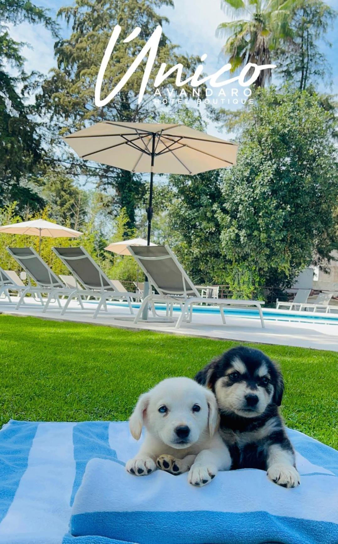Hotel Boutique Unico Avandaro Valle de Bravo Eksteriør bilde